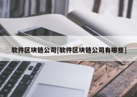 软件区块链公司[软件区块链公司有哪些]